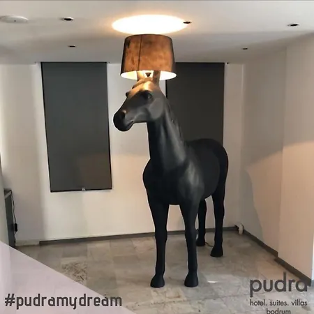 Hotel Pudraa